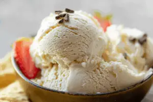 Lactose Free Vanilla Ice Cream